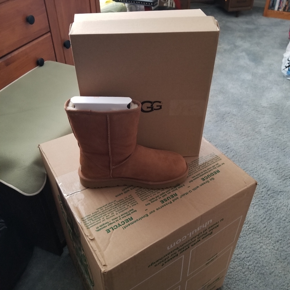 Add'l picture of Classic UGGs